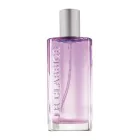 Classics EdP Singapore 50ml 0