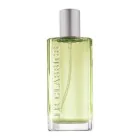 Classics EdP Boston 50ml 0